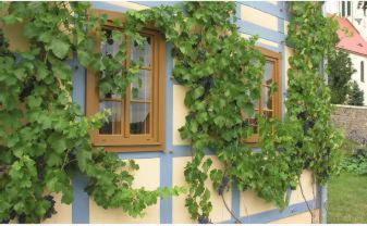 In Der Alten Weinstube Freital Luaran gambar