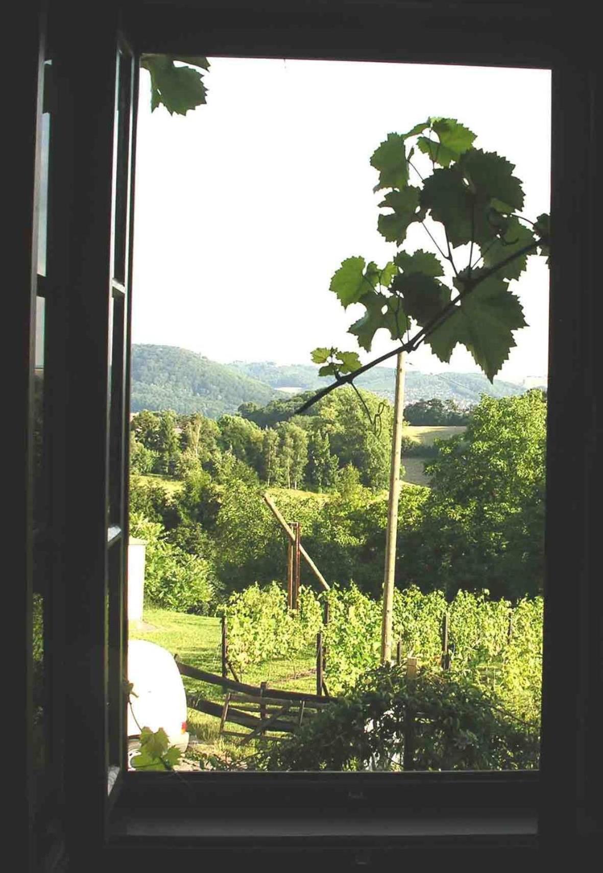 In Der Alten Weinstube Freital Luaran gambar